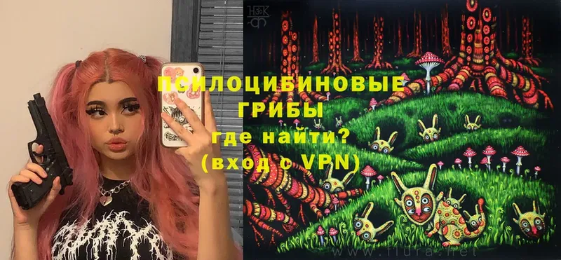 Псилоцибиновые грибы мицелий  Верещагино 